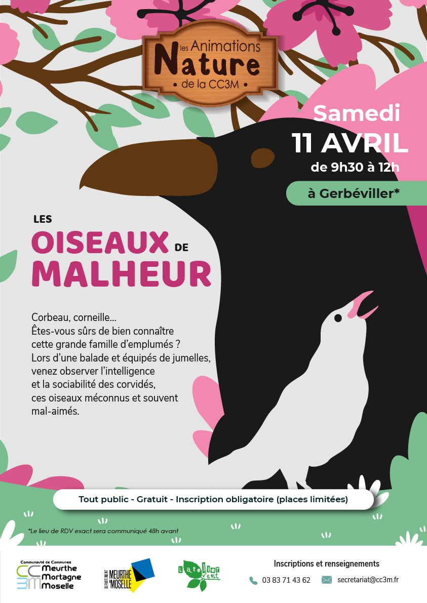 Affiche Oiseaux de malheur_RVB